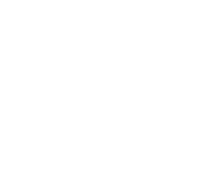 Tesy